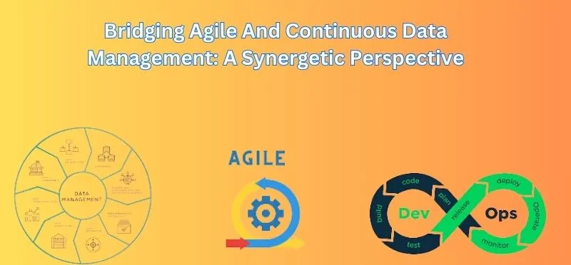 Bridging Agile And Continuous Data Management